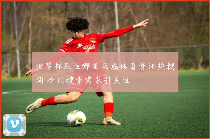 世界杯压注哪里买成体育资讯热搜词 冷门搜索需求引关注
